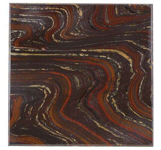 Tiger Iron Stromatolite Shower Tile - Billion Years Old #48804